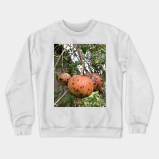 Pomegranate Crewneck Sweatshirt